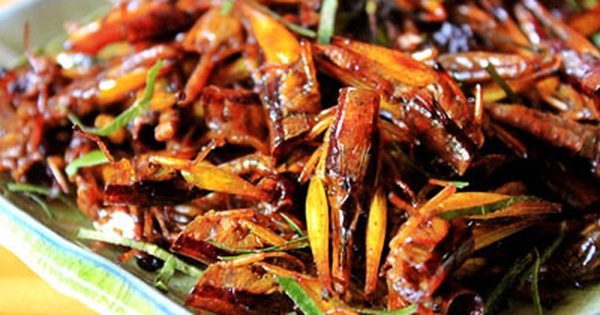 Châu chấu rang lá chanh, cực lạ mà cực ngon