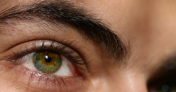 Vitamin E có khả năng ngăn chặn quá trình oxy hóa trong mắt không?
