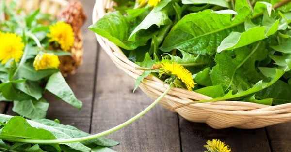 Những đặc điểm của 5 loại rau tốt cho sức khỏe mang lại lợi ích cho cơ thể