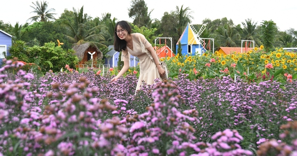 Có những vườn hoa đẹp nào ở Sài Gòn?