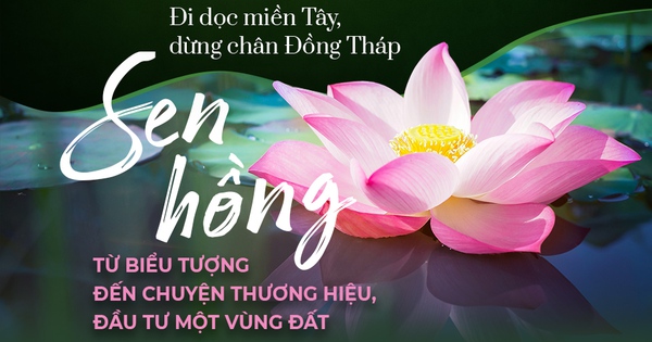 Những bức tranh đẹp từ đất Sen Đồng Tháp sẽ khiến bạn bồi hồi. Khi đi dọc miền Tây và dừng chân tại Đồng Tháp, bạn sẽ được tận hưởng những khoảnh khắc yên bình và tiết lộ độc đáo của vùng đất này. Xem hình ảnh để cảm nhận thêm.