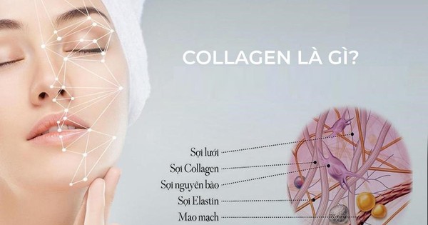 Thuốc Collagen có hiệu quả trong việc làm đẹp và làm trẻ hóa da không?
