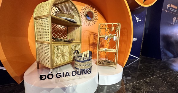 Top 5 ngành hàng Việt Nam bán chạy trên Amazon