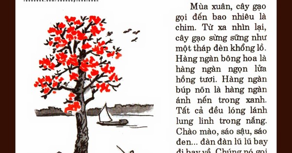 Rưng rưng hoài niệm từ bài tập đọc \'Cây gạo\' của nhà văn Vũ Tú Nam