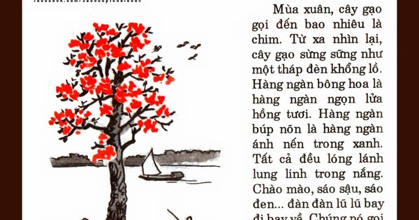 Cây gạo là những tài sản quan trọng và cần thiết nhất của con người để có thể sống tồn tại. Những hình ảnh liên quan đến cây gạo sẽ giúp cho bạn hiểu rõ hơn về nguồn gốc và tiềm năng của loài cây này. Hãy tìm hiểu thêm để có cái nhìn đa chiều về thế giới xung quanh bạn.