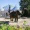 Tham quan các vườn thú được du khách yêu thích tại Đức