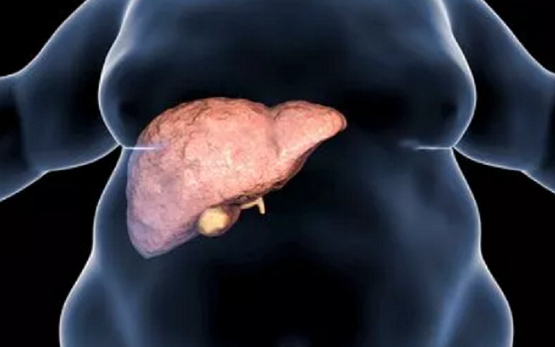 4 điều ít người biết đang vô tình gây hại cho gan