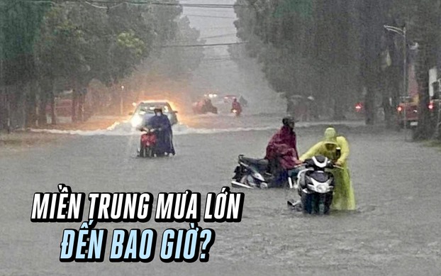 Bão số 10 gây thiệt hại nặng nề cho các hộ chăn nuôi ở Nghệ An