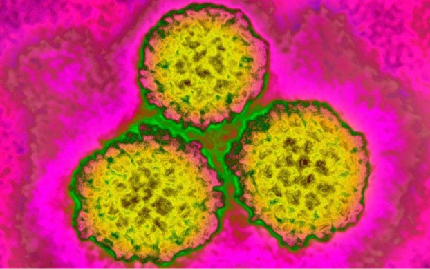 Cách lây truyền HPV?