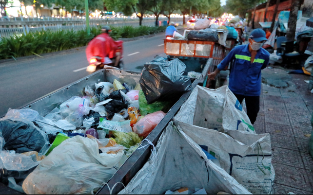 HP Việt Nam và WWF: Hợp tác Bảo tồn Thiên nhiên và Phát triển Bền vững