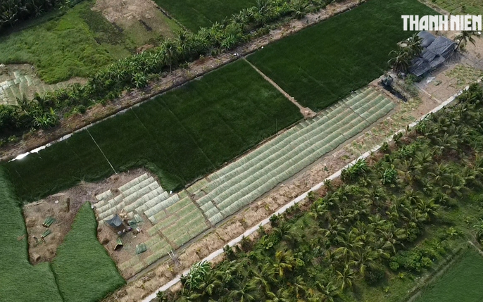 Nông dân Gia Lai làm giàu từ nông nghiệp công nghệ cao