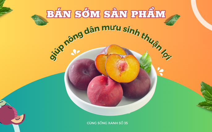 Cách làm mận muối ớt ngon bất bại chỉ nhìn đã nhỏ nước miếng