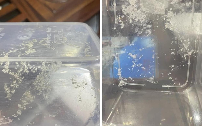 Hộp nhựa: tin tức, hình ảnh, video, bình luận mới nhất