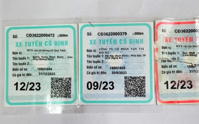 Kinh Doanh Vận Tải: Tin Tức, Hình Ảnh, Video, Bình Luận