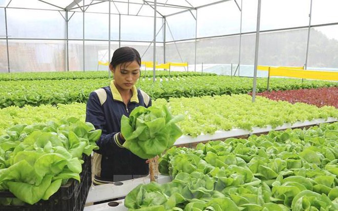 Visa E8: tin tức, hình ảnh, video, bình luận