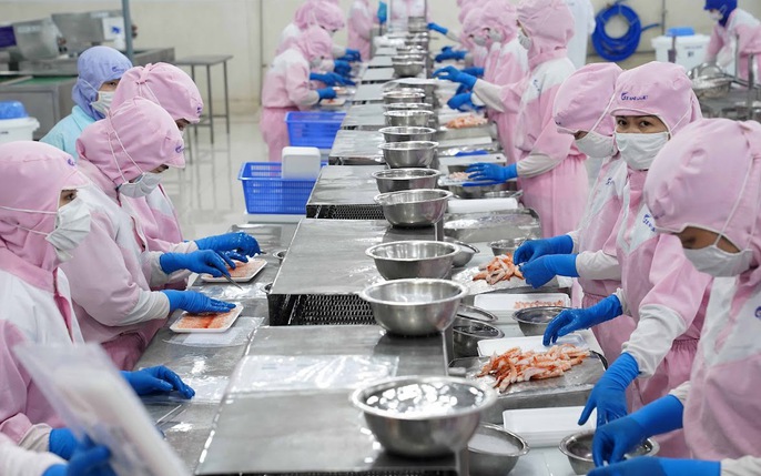Xuất khẩu cá tra: tin tức, hình ảnh, video, bình luận