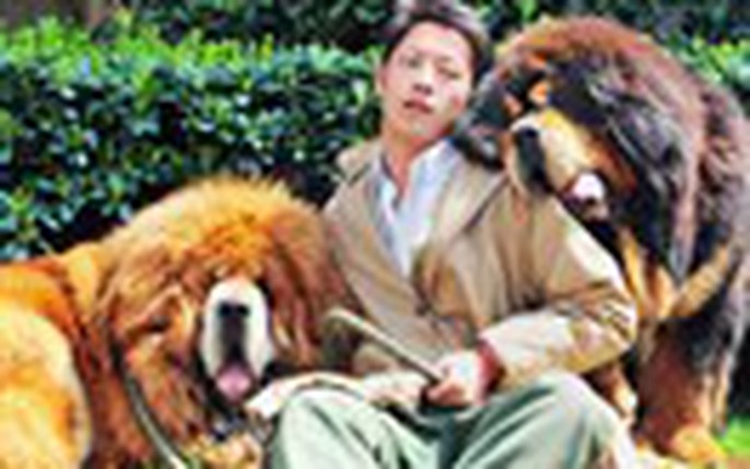 Tin tức Chó ngao Tây Tạng: Cập nhật các tin tức mới nhất về Chó ngao Tây Tạng và những sự kiện liên quan đến giống chó này trên khắp thế giới.