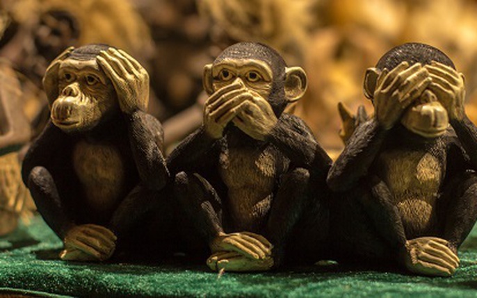 Ba con khỉ khôn ngoan: tin tức, hình ảnh, video, bình luận