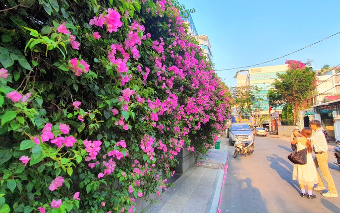 Con đường hoa giấy là một trong những danh lam thắng cảnh tuyệt đẹp của Việt Nam. Với hàng nghìn bông hoa giấy được sắp xếp đều dọc theo con đường, sẽ khiến cho bạn thỏa sức chiêm ngưỡng màu sắc tươi mới và tràn đầy sức sống. Con đường hoa giấy chính là nơi để bạn thỏa mãn trí tưởng tượng và khám phá nội bộ của mình.