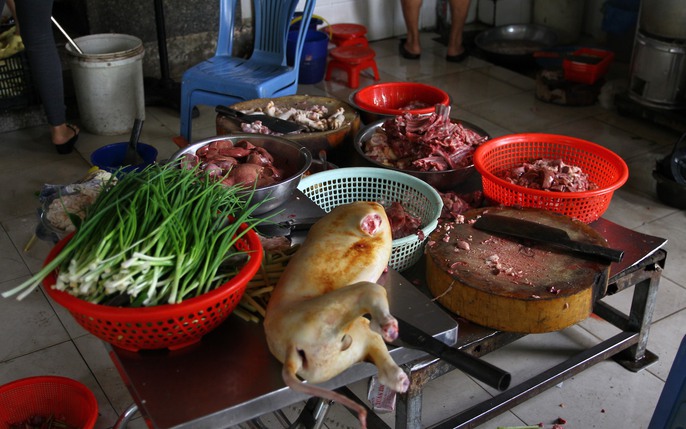 Hà Nội dự kiến cấm bán thịt chó ở từ 2021 hy vọng thay đổi hình ảnh văn  minh đô thị  Tin tức  Rti Radio Taiwan International