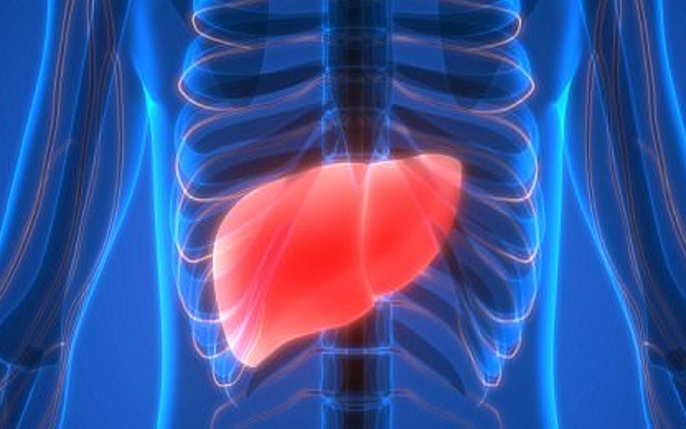 Cùng nhìn 97+ hình ảnh lá gan hot nhất - Sai Gon English Center