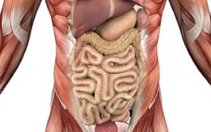 Hãy cùng đến với hình ảnh đảo ngược phủ tạng để khám phá một cách đầy bất ngờ về cấu trúc bên trong của cơ thể con người.
