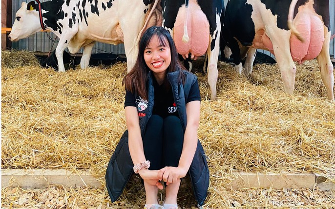 Uống sữa bò tốt hơn hay sữa đậu nành tốt hơn  BBC News Tiếng Việt