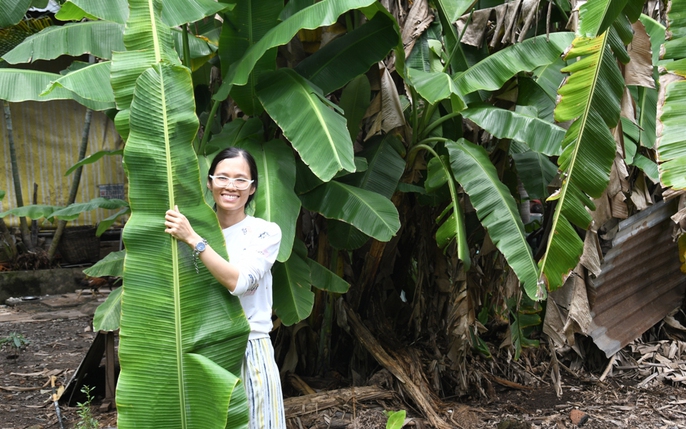 Cặp lá hình lá chuối bằng kim loại  ARĐG 1251   Trang Trí Mỹ Mỹ