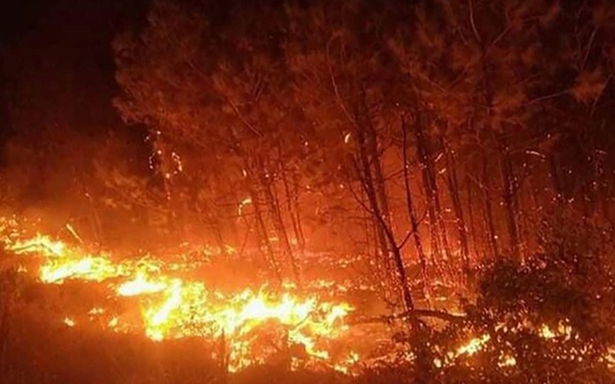 Bắc Giang Nhiều địa phương nguy cơ cháy rừng ở mức nguy hiểm