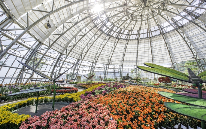 Đồi Vạn Hoa: tin tức, hình ảnh, video, bình luận