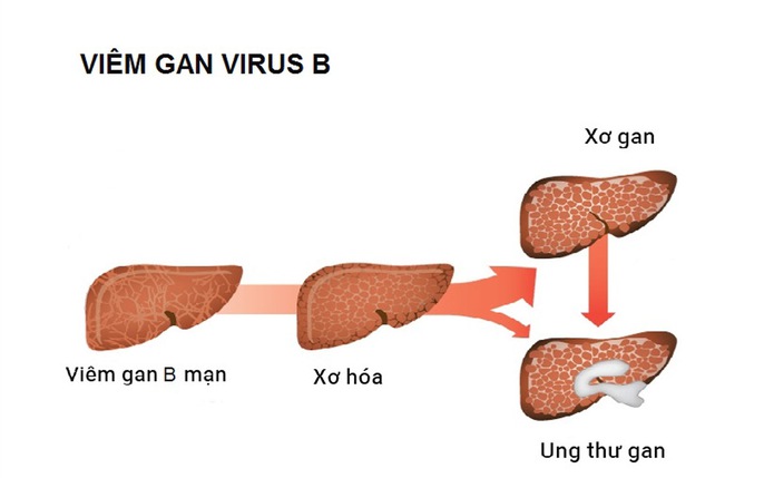 BioTrade: tin tức, hình ảnh, video, bình luận mới nhất