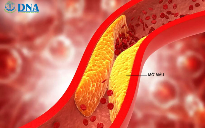 Bệnh viện Quốc tế DNA : tin tức, hình ảnh, video, bình luận