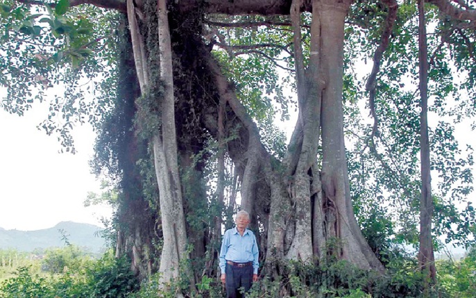 Hãy khám phá những bí mật đằng sau thiên nhiên kỳ bí và dường như vô tận này. Hình ảnh sẽ đưa bạn đến những địa điểm kỳ lạ và đầy bất ngờ của thiên nhiên.