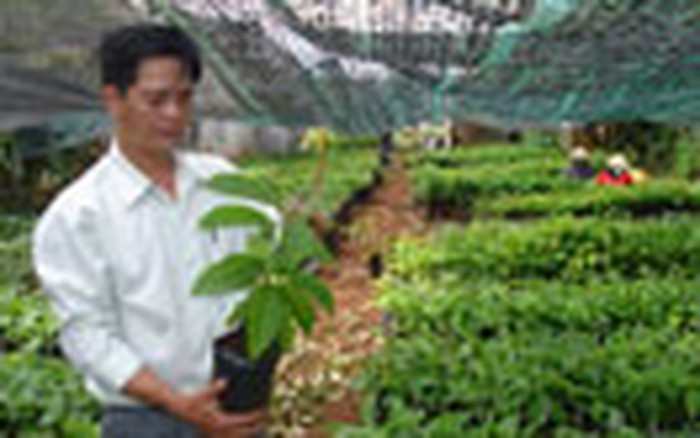 Nuôi Trồng Thủy Sản