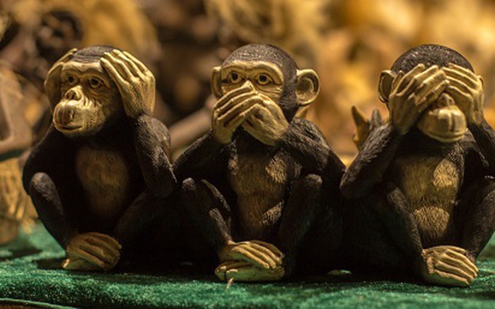 Ba con khỉ với hình tượng nghịch ngợm và đầy tinh nghịch chắc chắn sẽ đem đến cho bạn nhiều tiếng cười và niềm vui. Hãy xem hình ảnh này để bắt gặp sự đa dạng của nghệ thuật, văn hóa của các loài động vật.