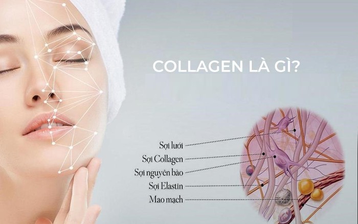 4. Collagen từ thực phẩm và thực phẩm chức năng