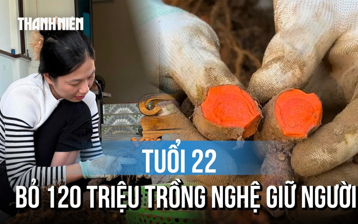 Bỏ phố về quê, cô gái trẻ dành 120 triệu đồng biến núi đá thành vựa nghệ