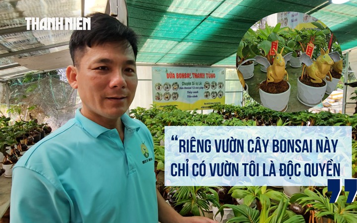 Tết Bính Ngọ 2026: Độc đáo dừa bonsai tạo hình linh vật ngựa