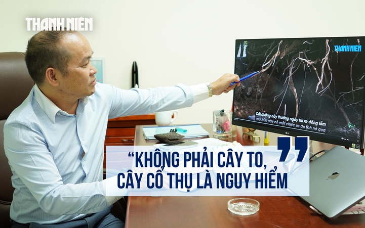 Chuyên gia: Muốn biết cây xanh có nguy cơ gãy, đổ, hãy nhìn ngay những vị trí này