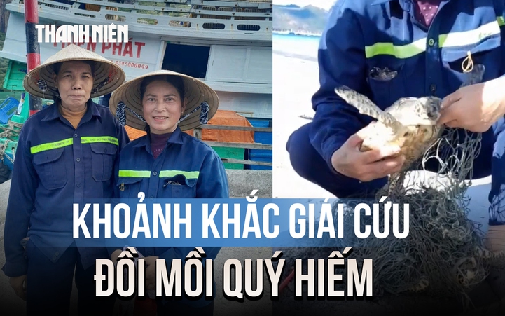Khoảnh khắc giải cứu đồi mồi quý hiếm ở Côn Đảo