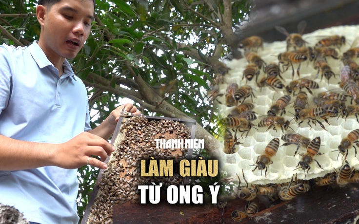 Nhờ Đoàn phường giới thiệu sản phẩm, chàng trai miền Tây bán mật ong chạy như tôm tươi