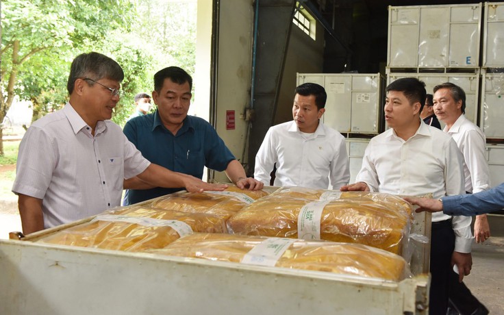 Đoàn công tác Đảng ủy Khối doanh nghiệp T.Ư thăm và làm việc tại Lào
