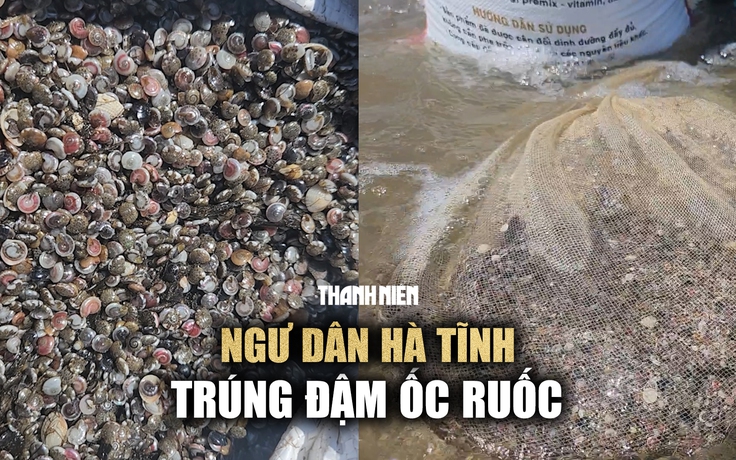 Ngư dân Hà Tĩnh trúng đậm ốc ruốc sau đợt mưa lớn kéo dài