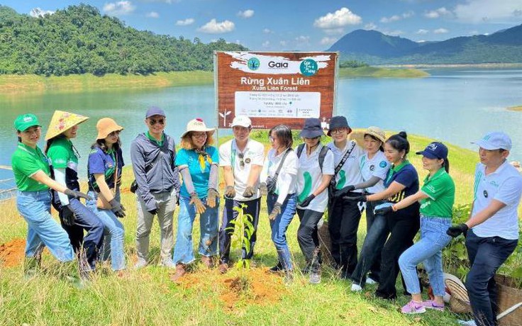 Manulife góp trồng 4.000 cây rừng, tiếp tục hành trình phủ xanh Việt Nam