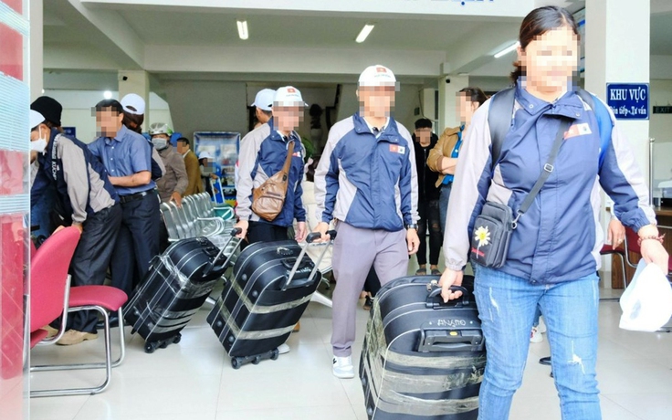 Khẩn trương đưa lao động thời vụ bỏ trốn tại Hàn Quốc về nước