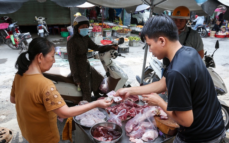 Giá heo hơi hôm nay 18.11.2023: Giảm rải rác