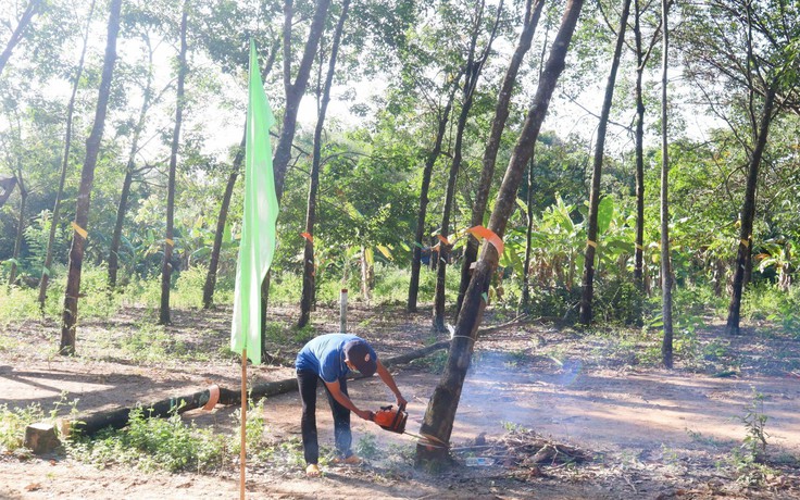 Bình Phước: Người dân hiến đất trị giá hơn 30 tỉ đồng làm đường giao thông