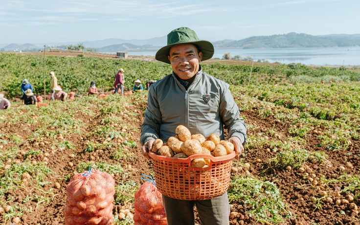Nông dân cải thiện đời sống khi hợp tác trồng khoai tây cùng Orion Nông dân cải thiện đời sống khi hợp tác trồng khoai tây cùng Orion