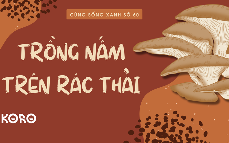 Cùng sống xanh số 60: Trồng nấm trên rác thải và con đường đưa nấm từ nhà kín ra môi trường tự nhiên