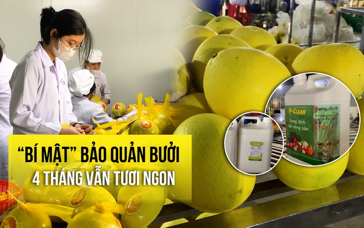 ‘Bí mật công nghệ’ bảo quản bưởi 4 tháng vẫn tươi ngon